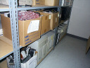 DCP00281.jpg (8077 バイト)